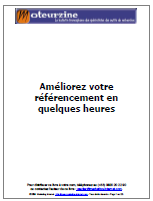 Ameliorez votre referencement en quelques heures - Guide de referencement Internet